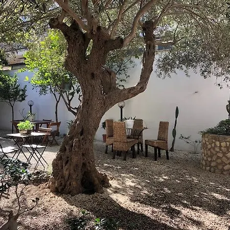 Aurora Bed & Breakfast
